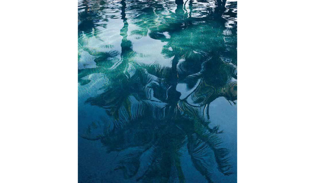 Bluewaters-Brochure5
